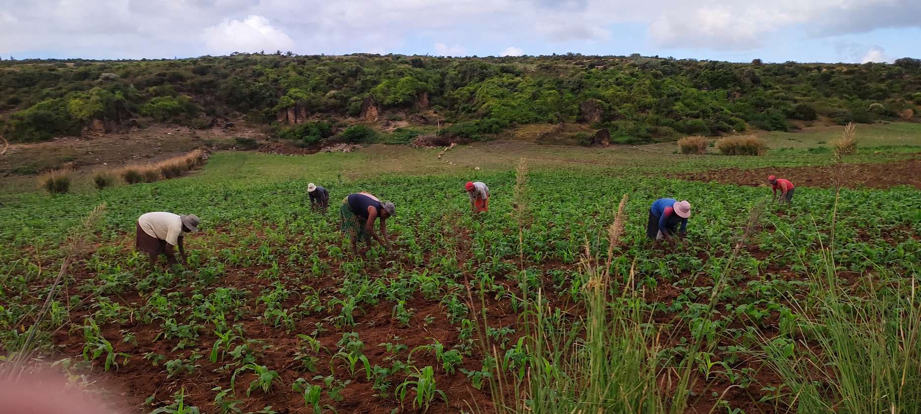 Agriculture durable